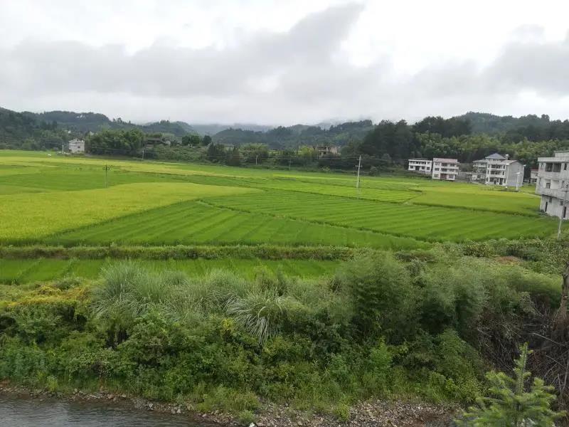 微信圖片_20200519095055.jpg 微信圖片_20200519095055.jpg